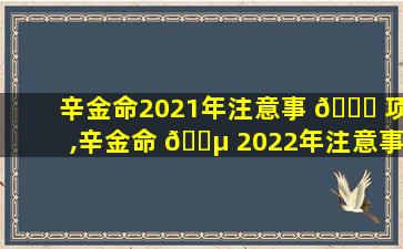 辛金命2021年注意事 🍀 项,辛金命 🐵 2022年注意事项